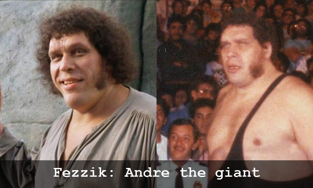 Andre the giant in La storia fantatica