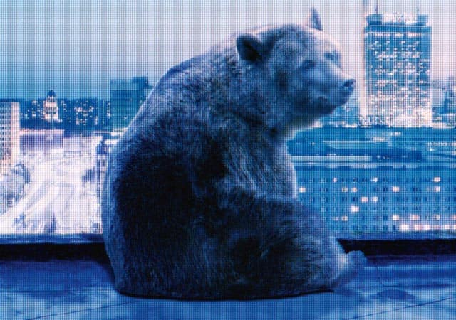 Festival di Berlino 2016: tutti i premiati