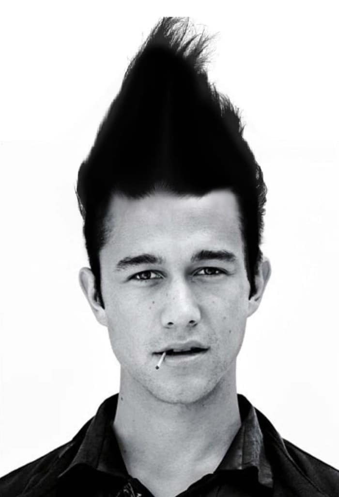 Joseph Gordon-Levitt sarà Sogno